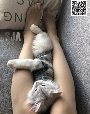 亚日韩在线观看一区二区_BD韩语免费观看韩国